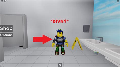 Roblox Public Bathroom Simulator Youtube Otosection