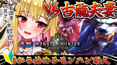 【モンハンワールドmhw】大ピンチ！テオ＆ナナに大苦戦┊︎0から始めるモンハンワールドっ！！脳筋新米ハンター爆誕🔰有識者さんも大歓迎 雑談