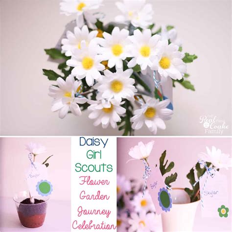 Daisy Girl Scouts ~ Flower Garden Journey Celebration