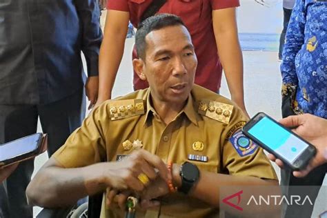 Babel Tanami Bambu Reklamasi Lahan Bekas Tambang Timah Antara News