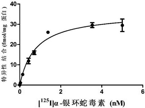 α7烟碱型乙酰胆碱受体的配体化合物及其应用的制作方法