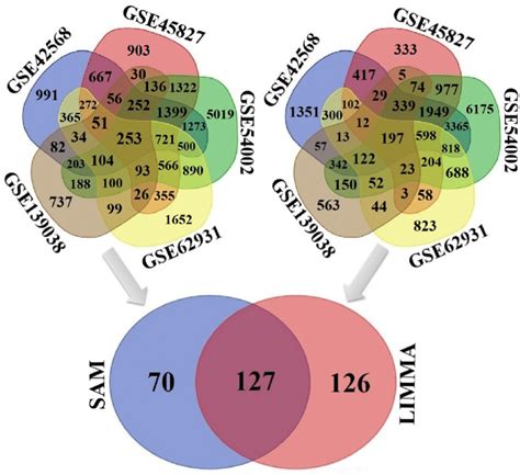 The Venn Diagrams To Display Common Differentially Expressed Genes