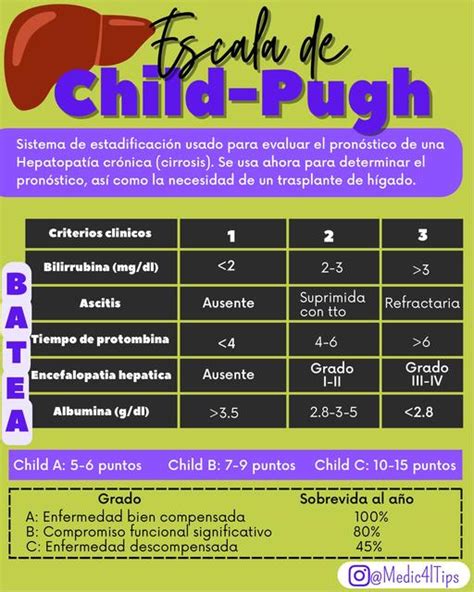 Escala De Child Pugh Medical Tips Udocz