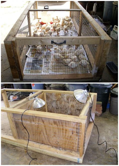 15 Easy Diy Chicken Brooder Ideas And Plans To Make