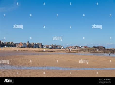 Milsey Bay Beach North Berwick Fotos Und Bildmaterial In Hoher