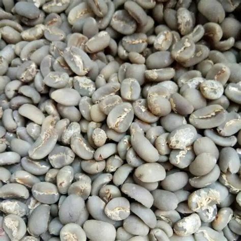 Jual Green Bean Kopi Arabika Gayo Kg Shopee Indonesia