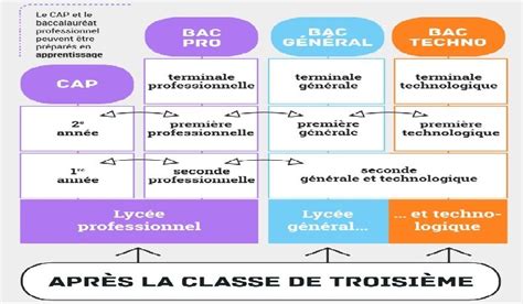 La Voie Professionnelle Bac Pro And Cap Et La Voie Générale Et