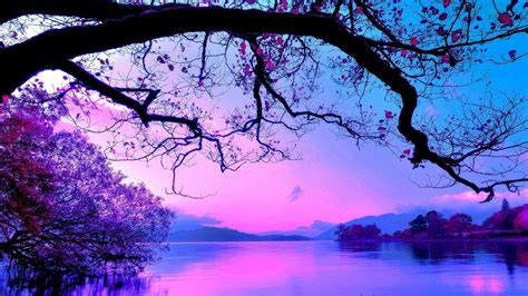 Purple Tree Wallpaper (53+ pictures) - WallpaperSet