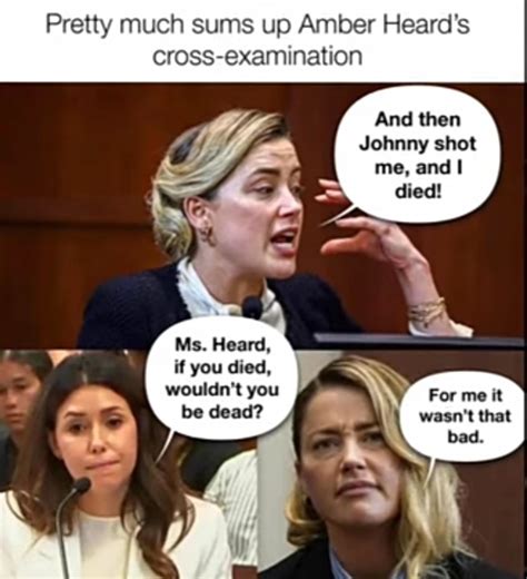 The Best Amberheard Memes Memedroid