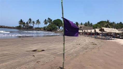 Por Presencia De Medusa Colocan Bandera Morada En Playas De San Blas