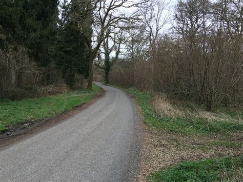 Lane Through Warren Bottom Copse Mr Ignavy Geograph Britain And