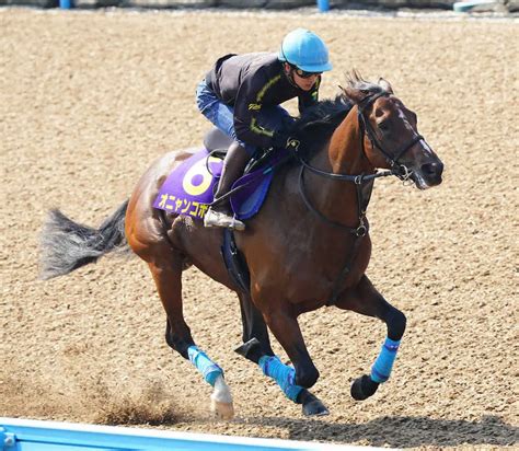 【日本ダービー1週前追い】オニャンコポン 切れ味発揮ラスト1f11秒6、菅原明「実戦をイメージ」 スポニチ競馬web