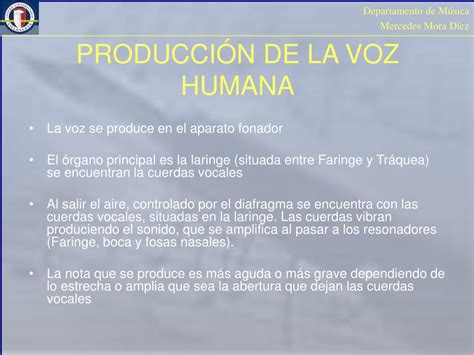 Ppt Tema 4 La Voz Humana Powerpoint Presentation Free Download Id5712467