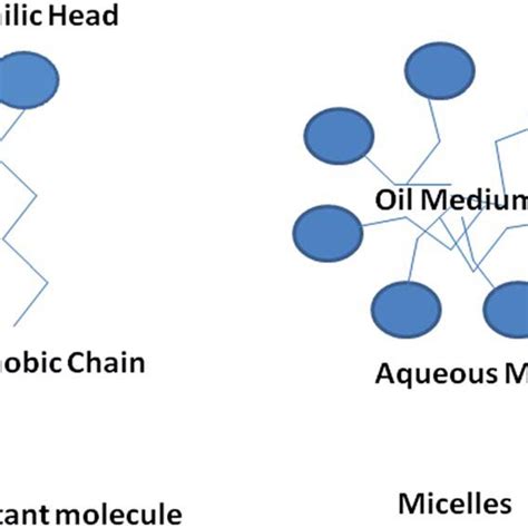 Surfactant molecules and micelles formation above critical micelle ...