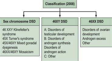 Disorders Of Sexual Development Dsd Obgyn Key My Xxx Hot Girl