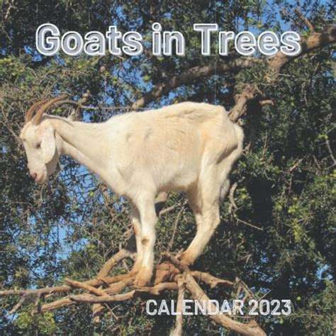 Goats in Trees CALENDAR 2023: BONUS THE 6 LAST MONTHS FOR 2022 Goats ...