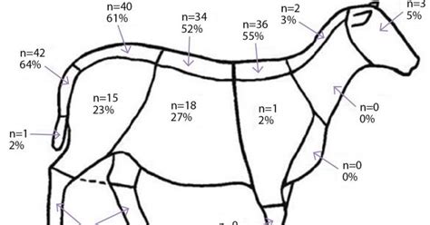 Body Condition Scoring By Sheep Farmers Awareness And Use Vet Times