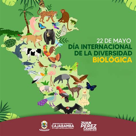 Día Internacional De La Diversidad Biológica Noticias Municipalidad