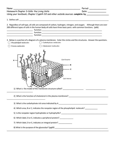 Chapter 3 Anatomy Of Cells Worksheet Answers Anatomy Worksheets