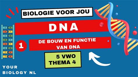 5 Vwo DNA 1 De Bouw En Functie Van DNA YouTube