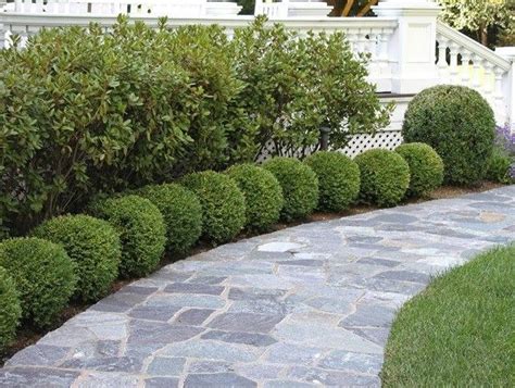 Amazingly Green Front Yard And Backyard Landscaping Ideas Landschap