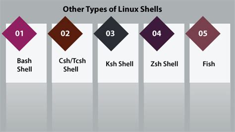 Linuxuniux Shells Zp Enterprises