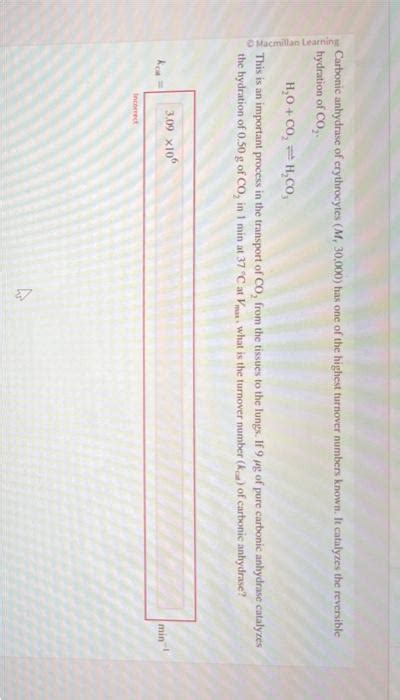 Carbonie Anhydrase Of Erythrocytes M2 30 000 Has Chegg