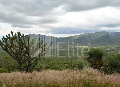 TERRENO EN VENTA EN PEDRO ESCOBEDO QUERETARO Lamudi Mx