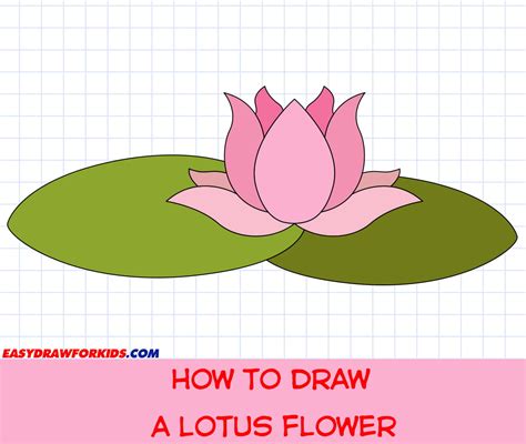 How To Draw A Lotus Flower Ways With Pictures