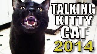 Talking Kitty Cat Playlist (All Videos) | FunnyCat.TV