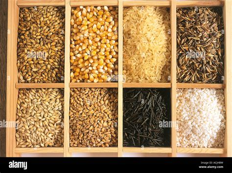 Maize rice malt wheat oats hi-res stock photography and images - Alamy