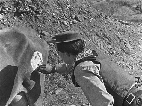 Ma Vache Et Moi Le Film Favori De Buster Keaton En Blu Ray Et DVD