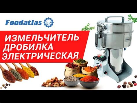 Измельчитель дробилка электрическая орехов специй круп перца - YouTube