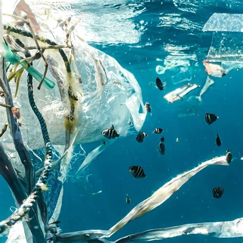 Sexualkunde In Der Schule Wie Richtig Ber Sex Sprechen