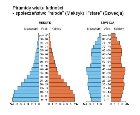 Piramida P Ci I Wieku Definicja Interpretacja Opis Strona