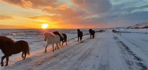 Iceland in Winter - What you need to know - Epic Iceland 2024