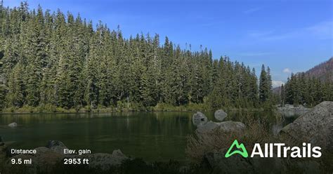 Surprise Creek Trail To Surprise And Glacier Lakes Washington 487