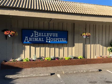 Best Veterinary Hospital In Bellevue, WA 98004 | Bellevue Animal Hospital