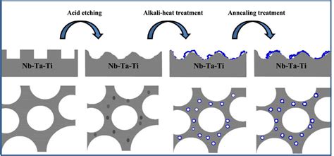 Scheme Diagrams Showing The Preparation Process Of The Porous