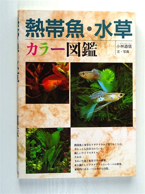 Yahooオークション 熱帯魚・水草 カラー図鑑 小林道信著