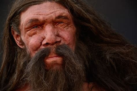 Ecco il volto dell'Uomo di Altamura (With images) | Forensic facial reconstruction, Ancient ...