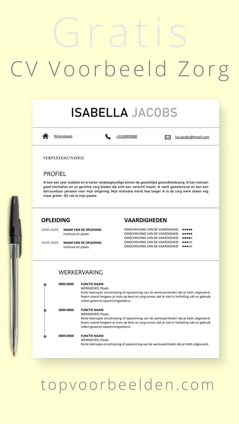 Cv Voorbeeld Gratis Templates Gratis Een Professioneel Cv Maken Artofit