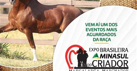 Varginha Net Jornal Informasion Expo Brasileira Minasul Do Criador