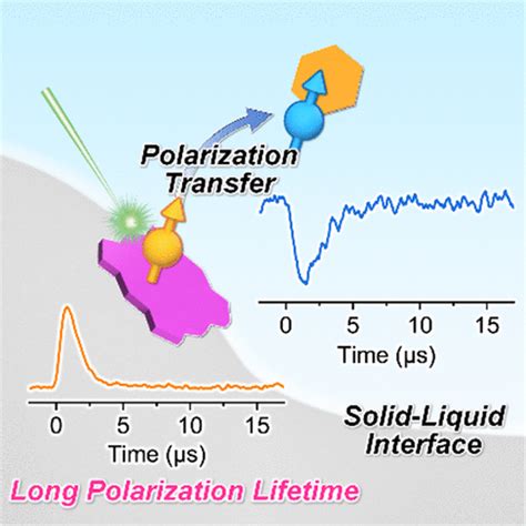 Generation And Transfer Of Triplet Electron Spin Polarization At The