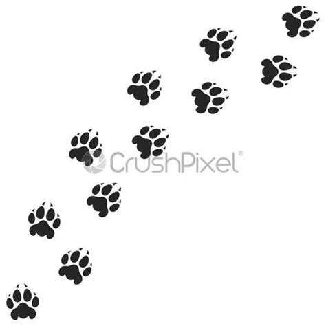 Tiger paw print Silhouette Isolated prints on white background - stock ...