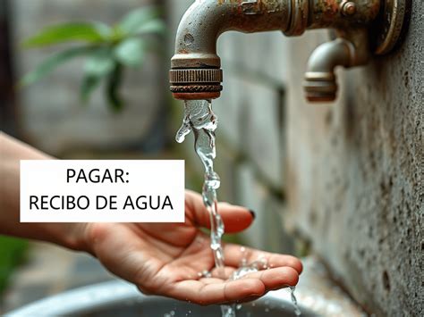 Guía para pagar recibo de agua en línea en Tehuacán Orsavi