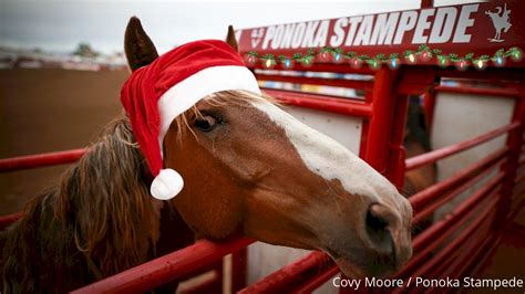 VOTE: What Is The Best Rodeo Over Cowboy Christmas? - FloRodeo