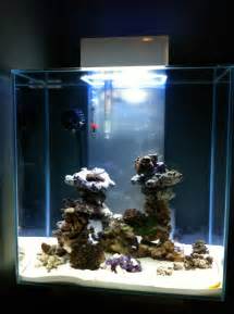 Nano Build Fluval Edge Gallon Nano Build Reef Reef Off