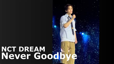 4K 240623 NCT DREAM Never Goodbye The Dream Show 3 DREAM SCAPE