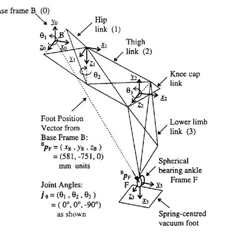 Coordinate Frames For The Links Of A 3 Degree Of Freedom Robot Leg